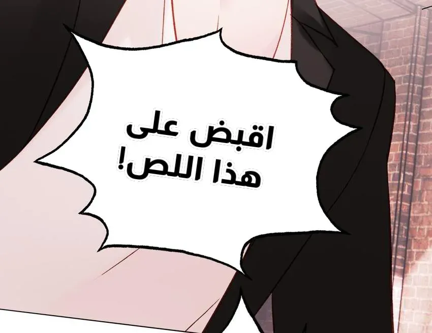 الصفحة 20