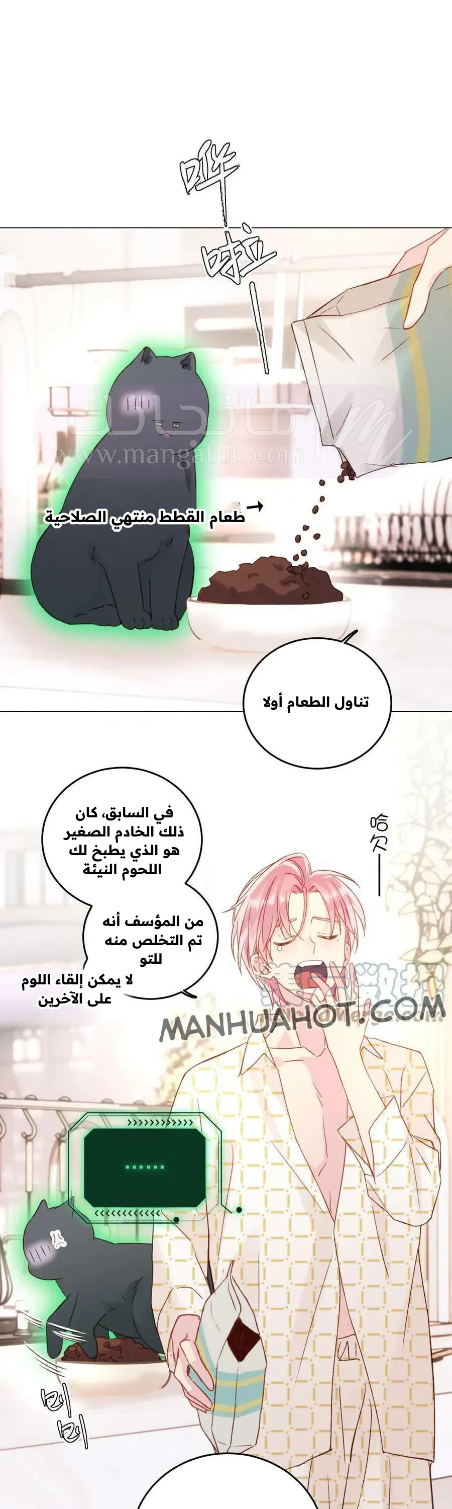 الصفحة 3