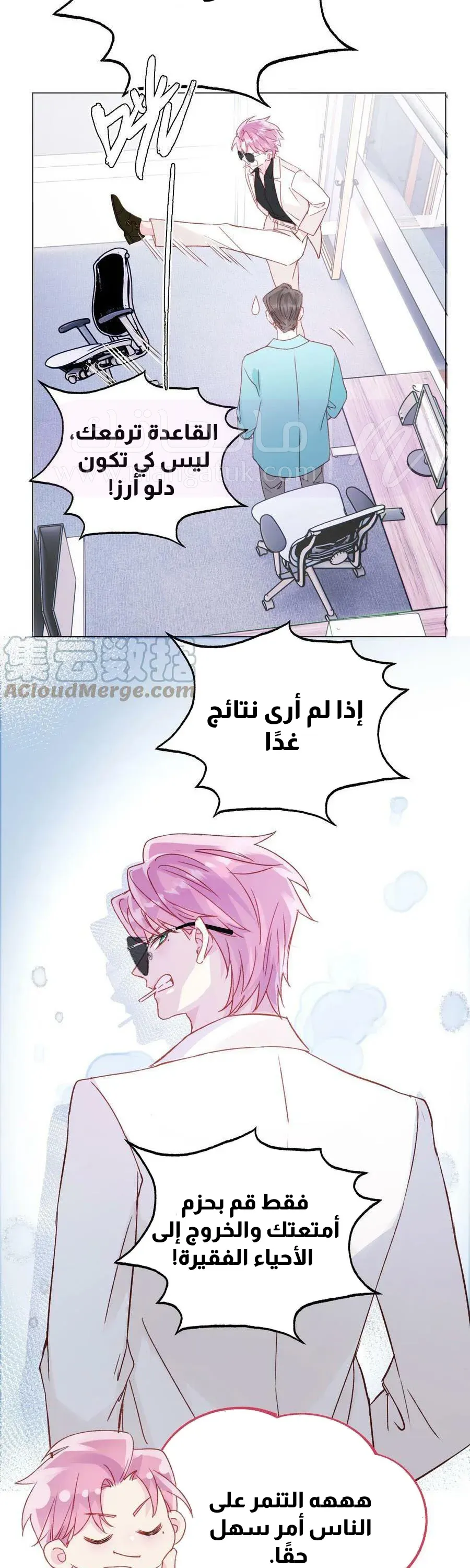 الصفحة 17