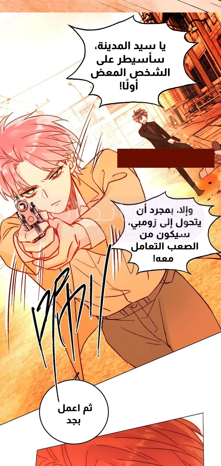الصفحة 17