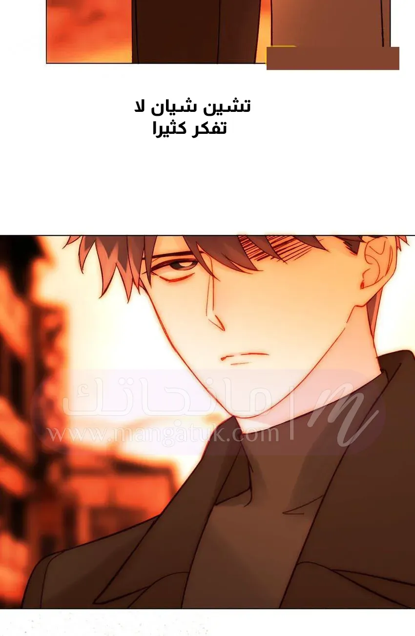الصفحة 21