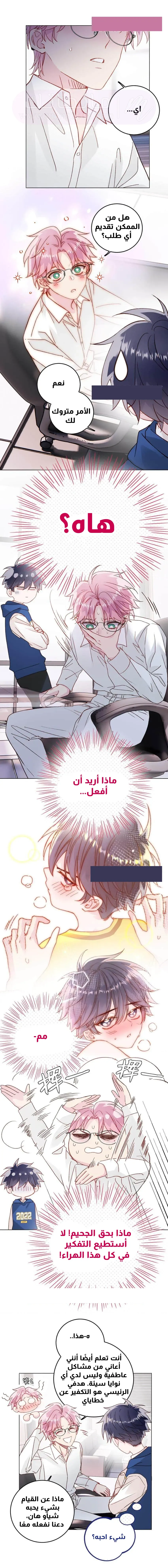 الصفحة 3