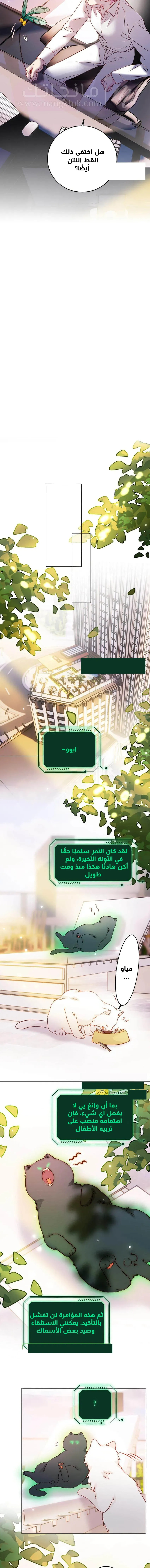 الصفحة 5