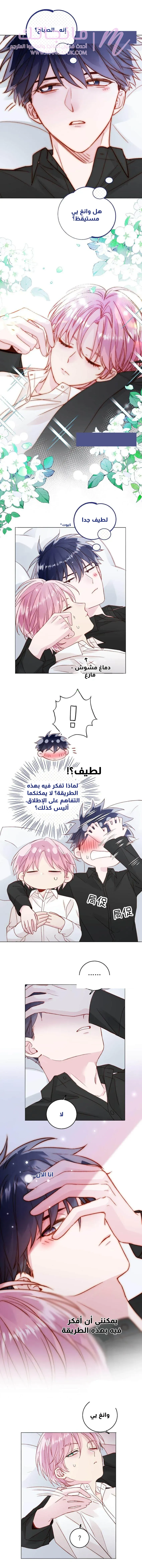 الصفحة 3