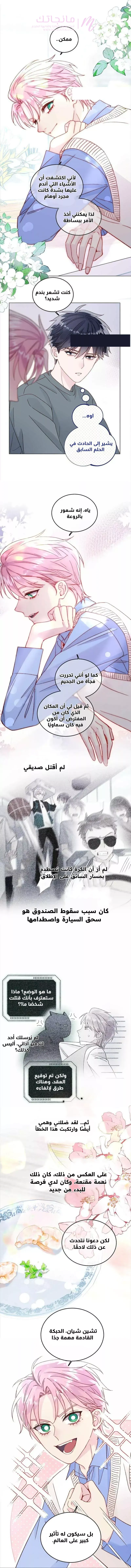 الصفحة 3