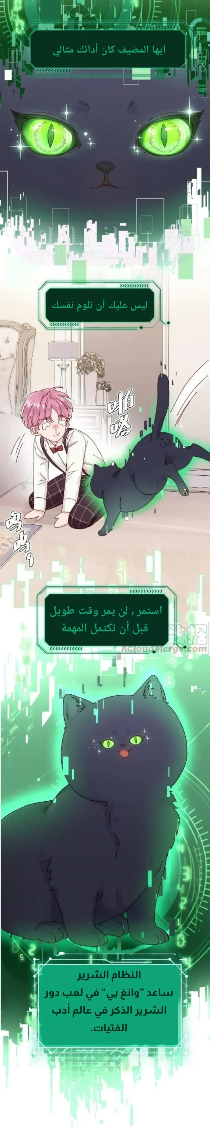 الصفحة 7
