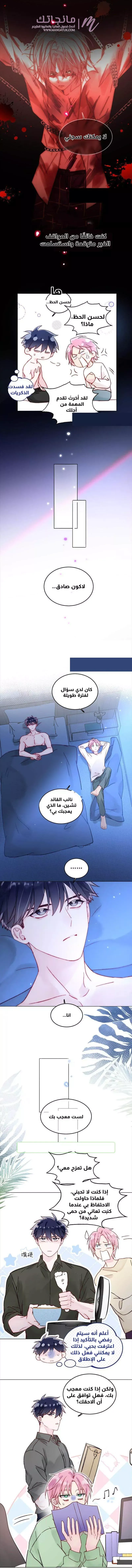 الصفحة 3