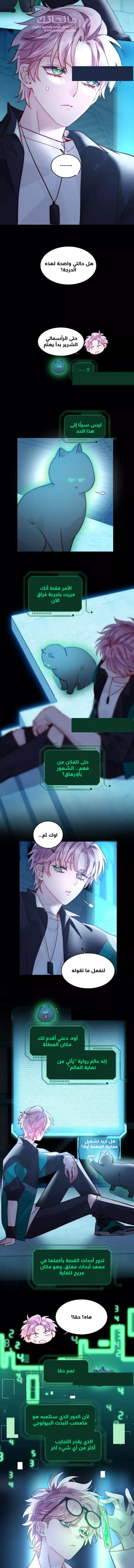 الصفحة 7