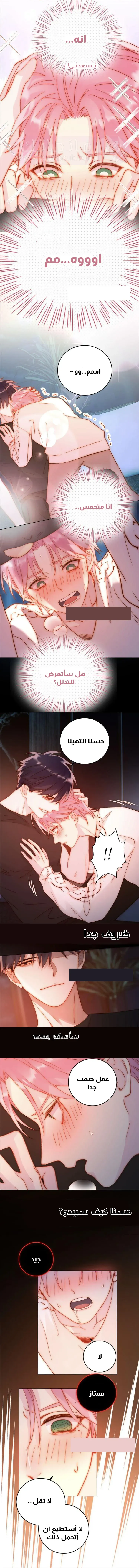 الصفحة 13