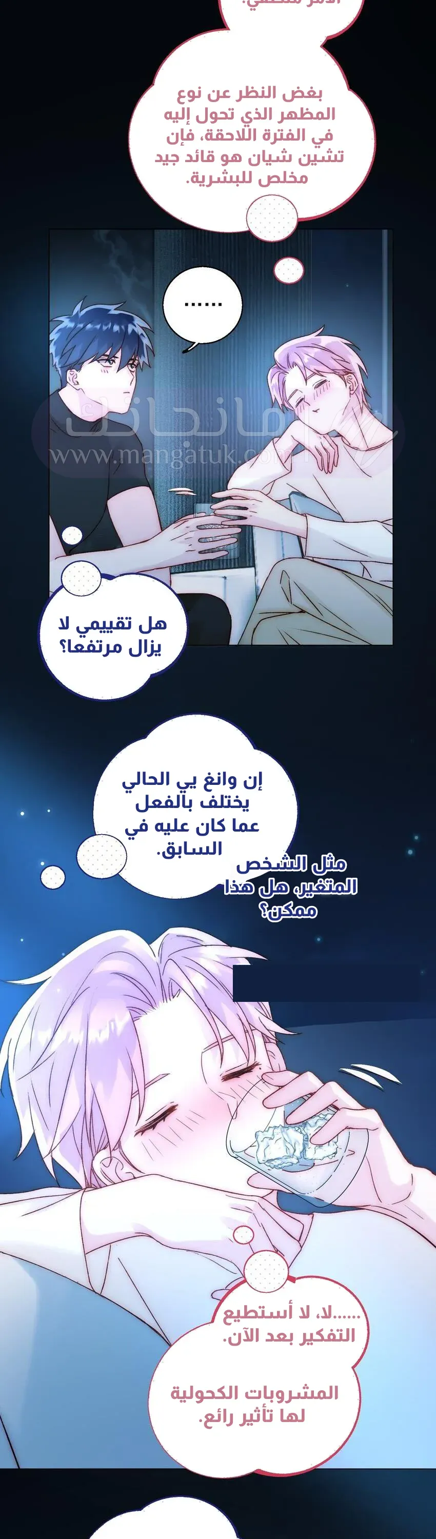 الصفحة 13