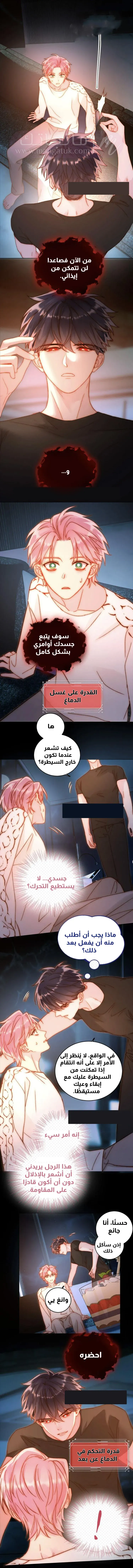 الصفحة 5