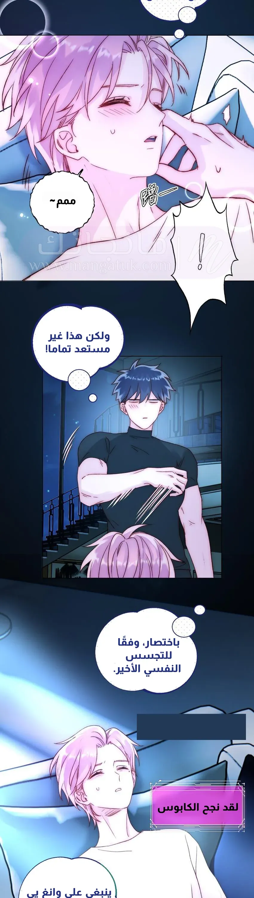 الصفحة 8