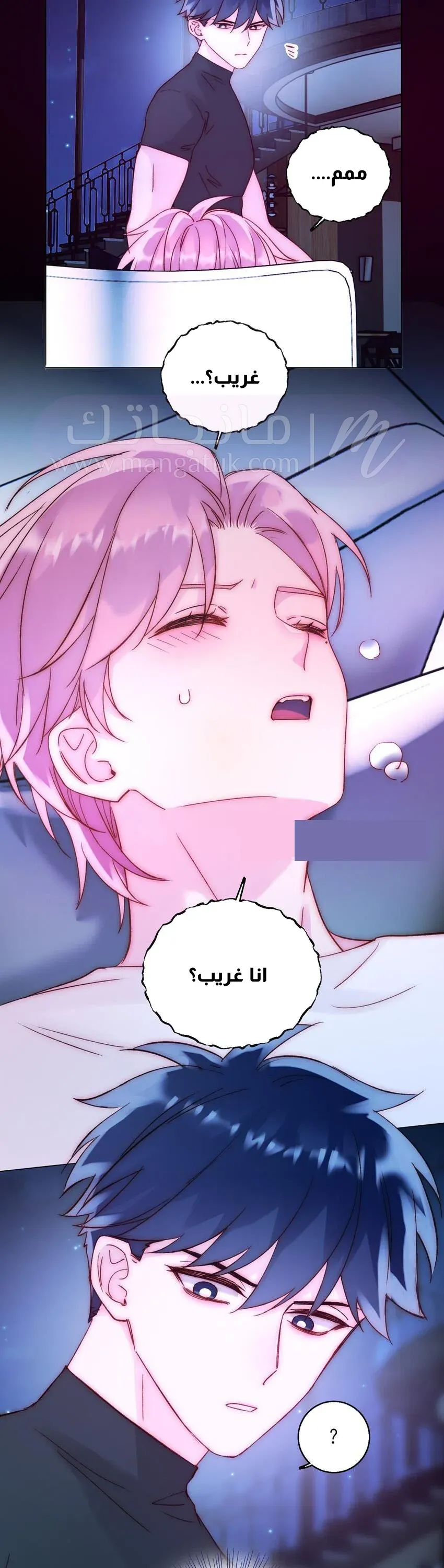 الصفحة 12