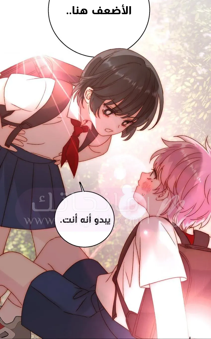 الصفحة 19