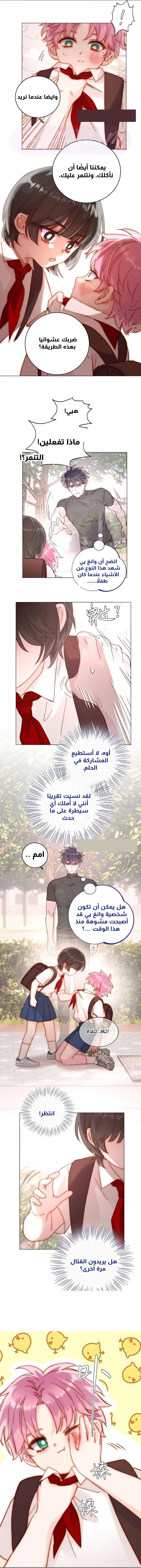 الصفحة 20
