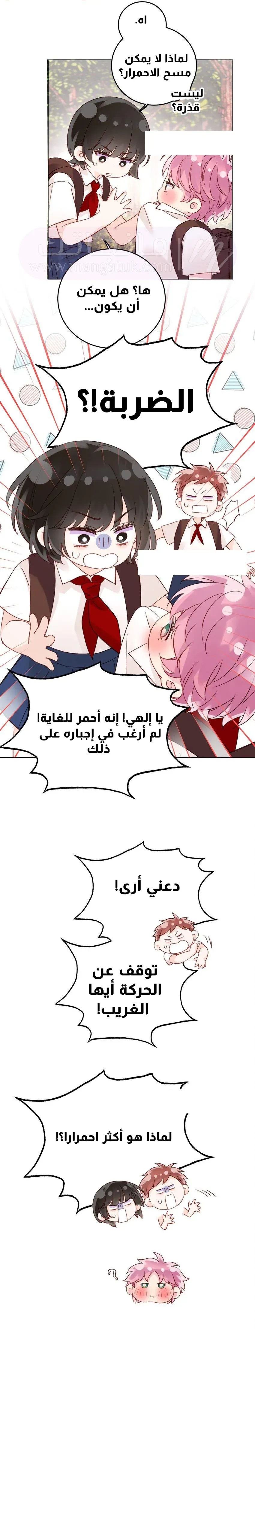 الصفحة 21