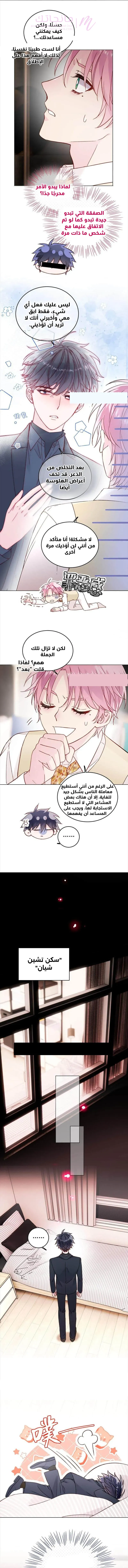 الصفحة 7