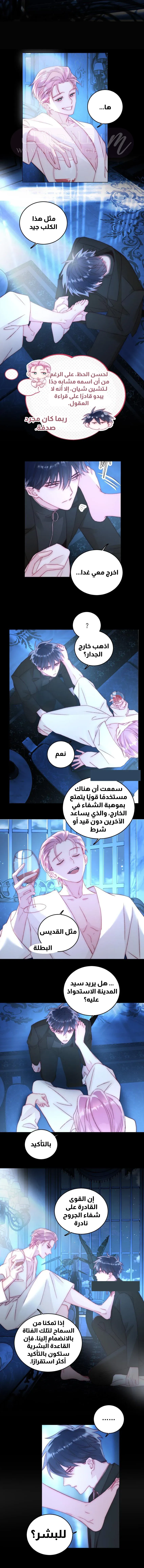 الصفحة 11