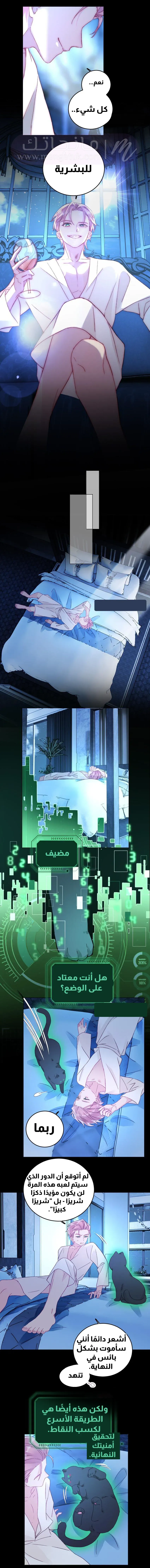 الصفحة 12