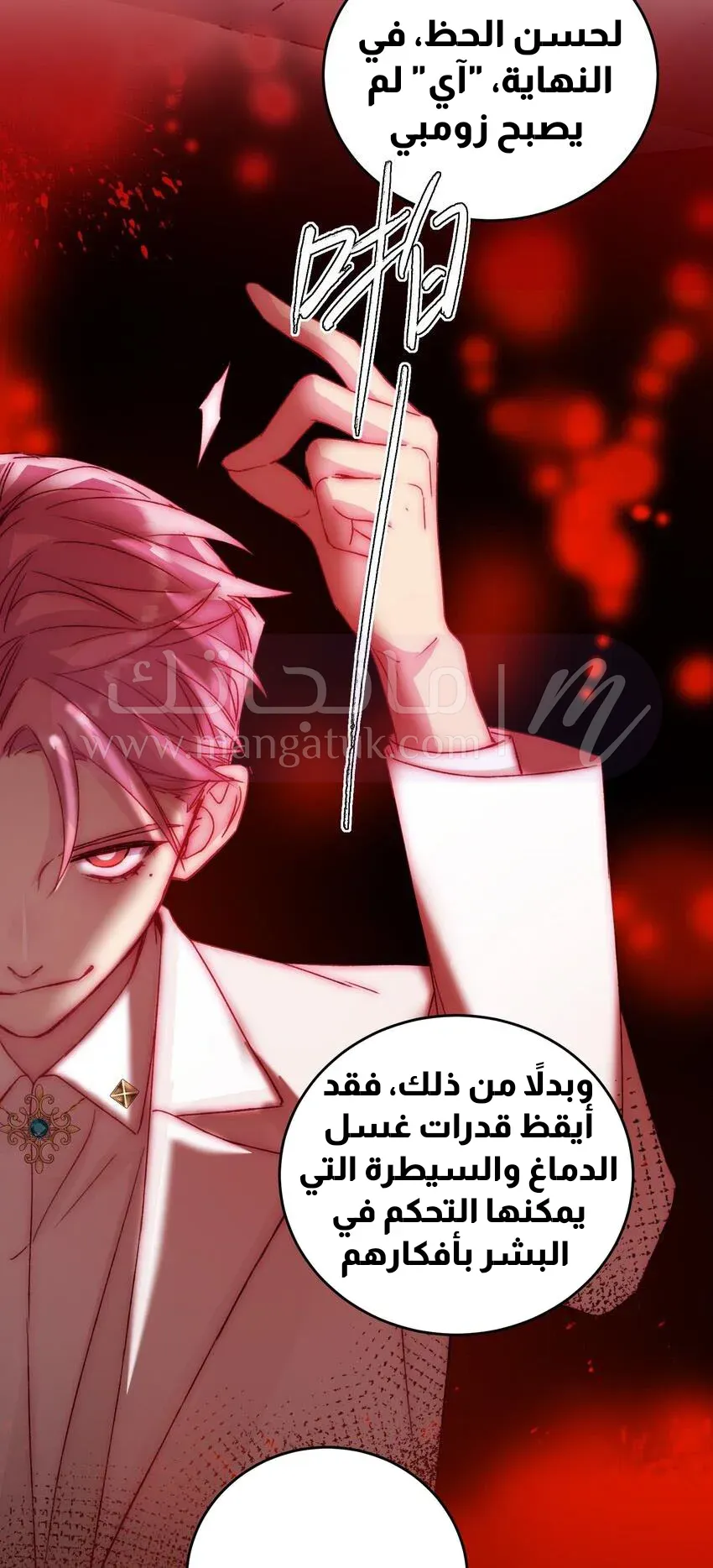 الصفحة 17
