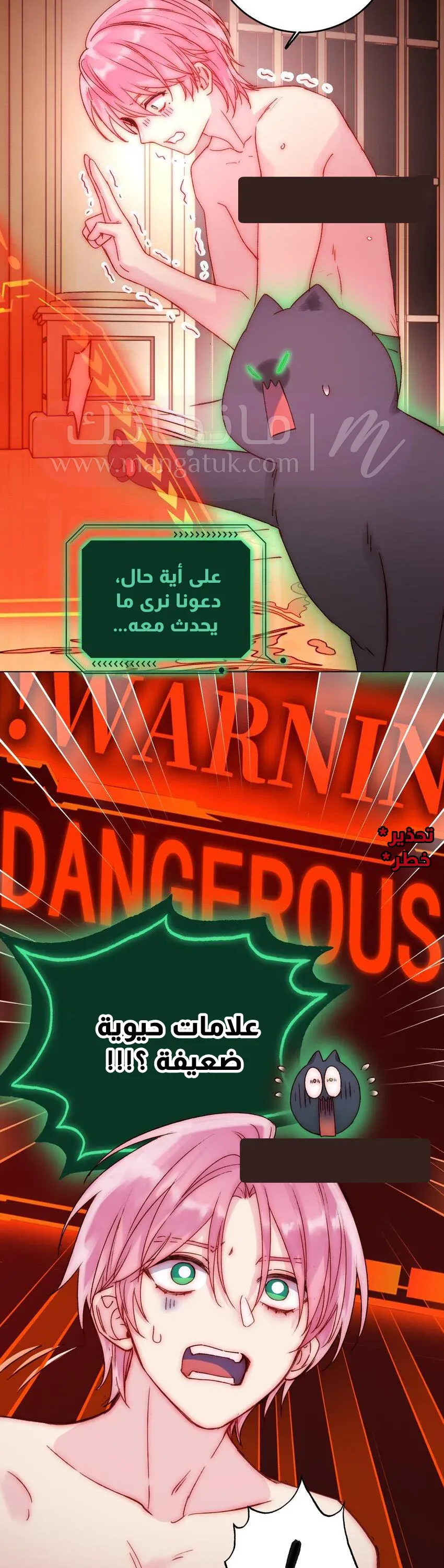الصفحة 8