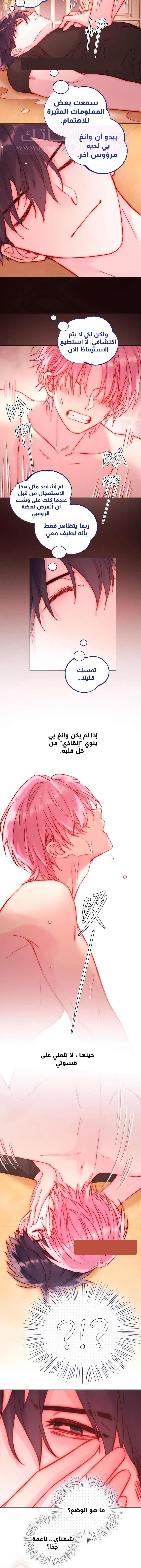 الصفحة 12