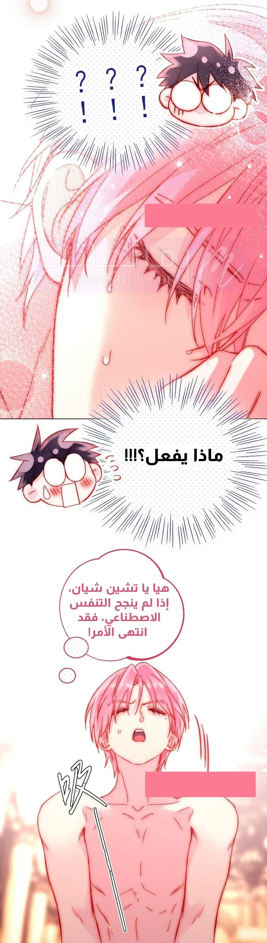 الصفحة 13