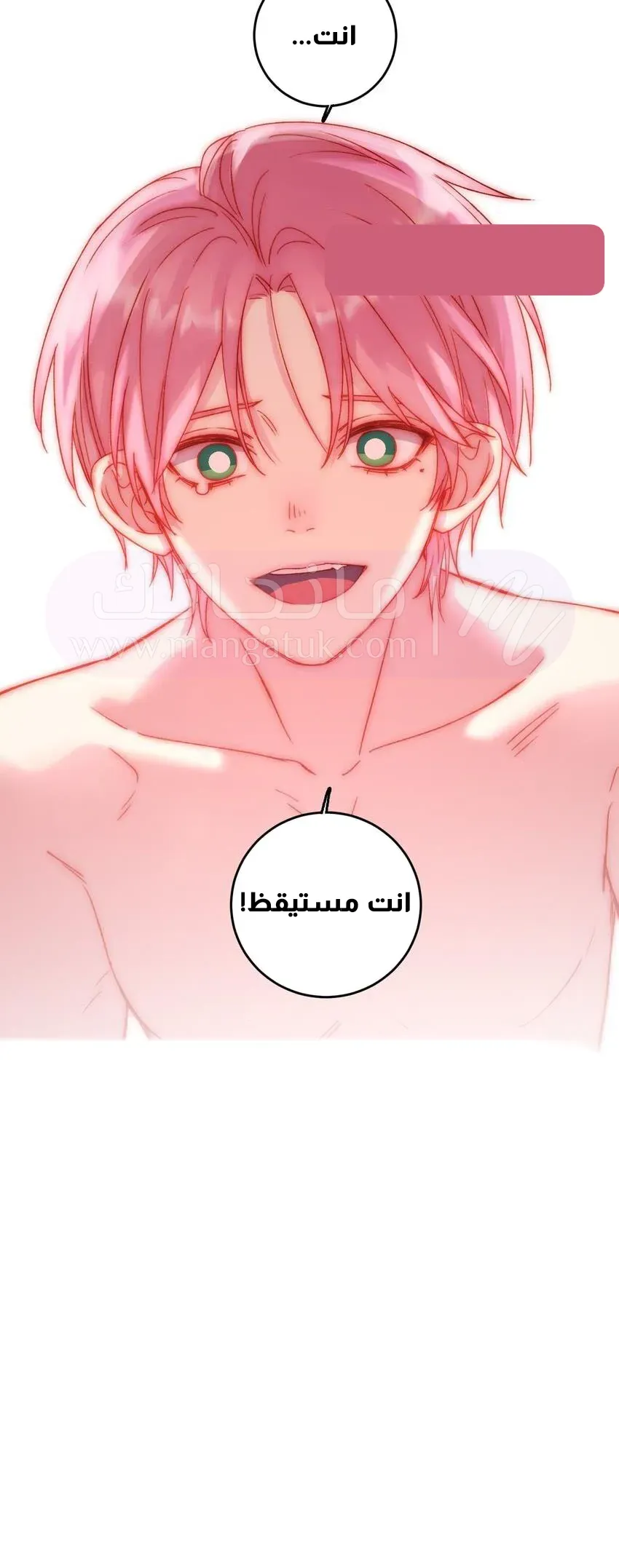 الصفحة 16