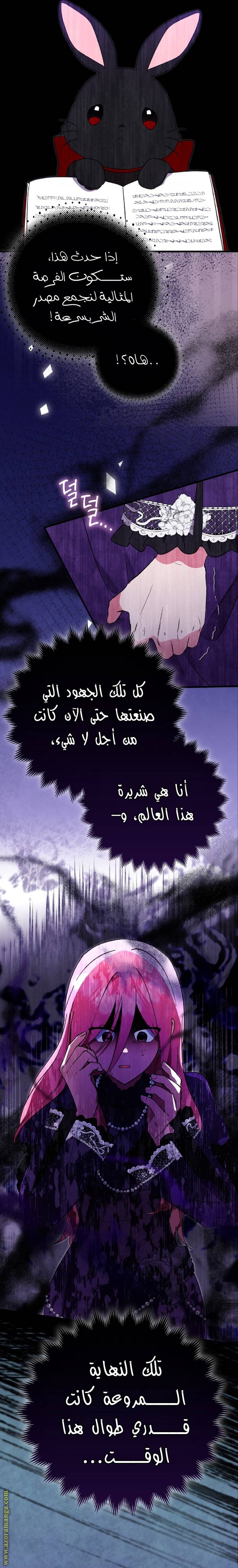 الصفحة 13