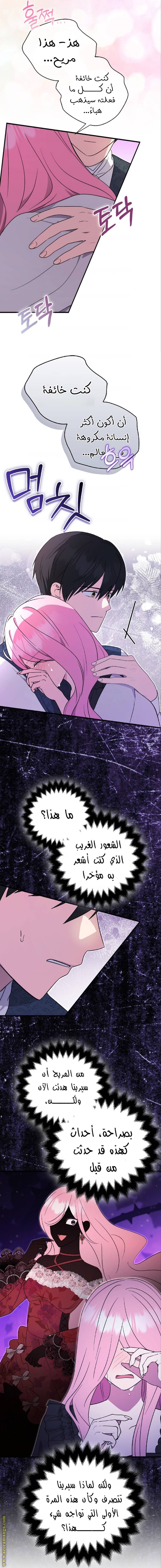 الصفحة 16