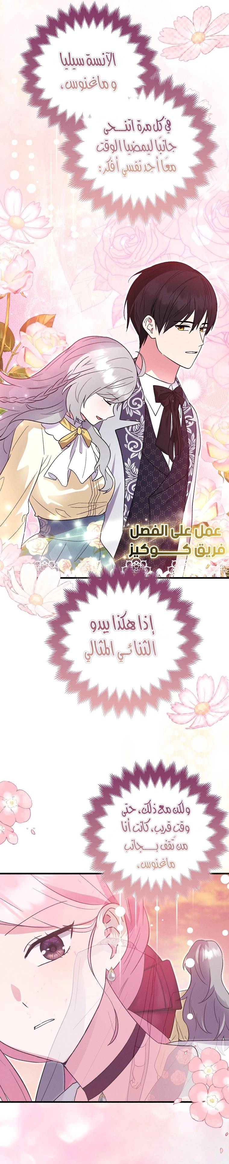الصفحة 17
