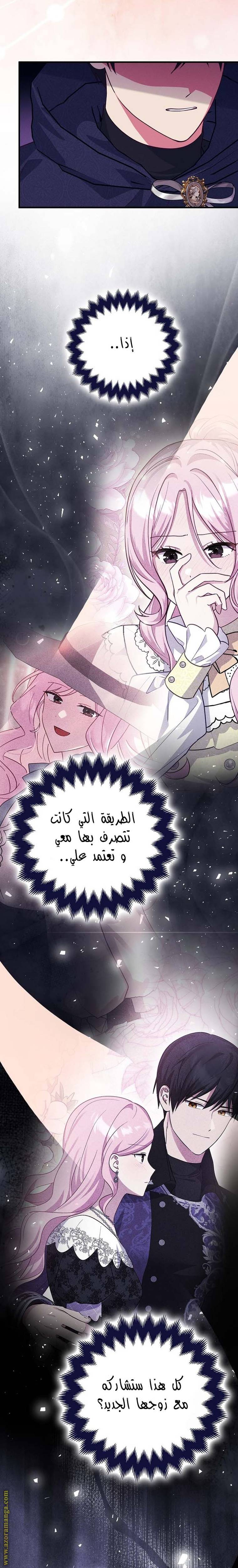 الصفحة 19