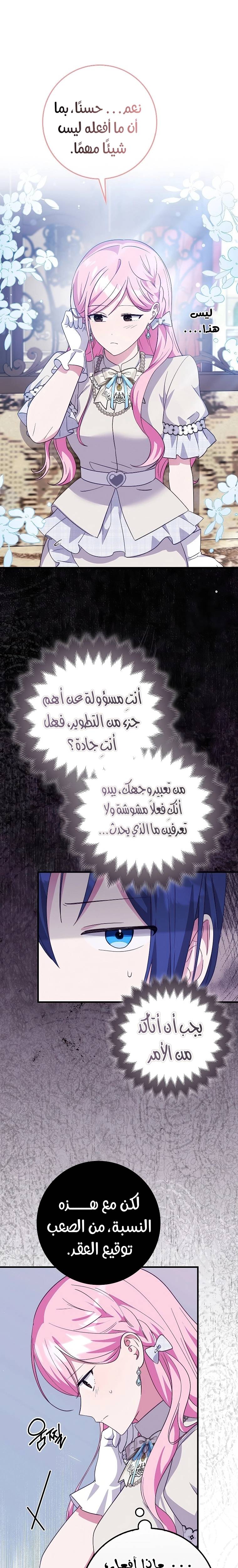 الصفحة 13