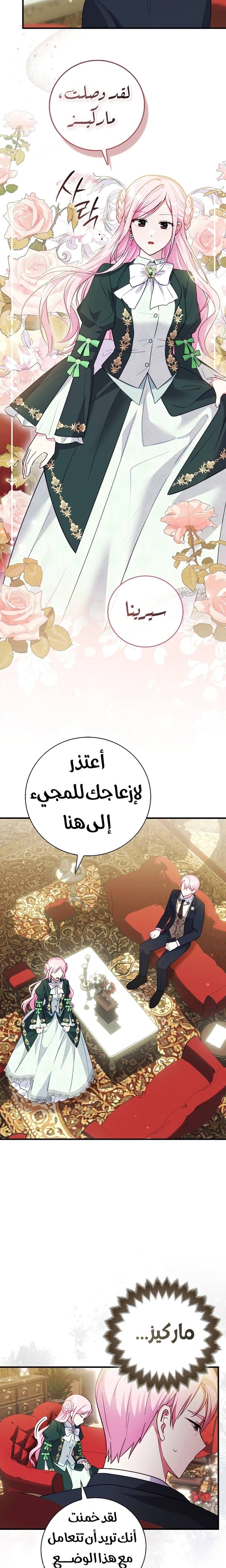 الصفحة 14