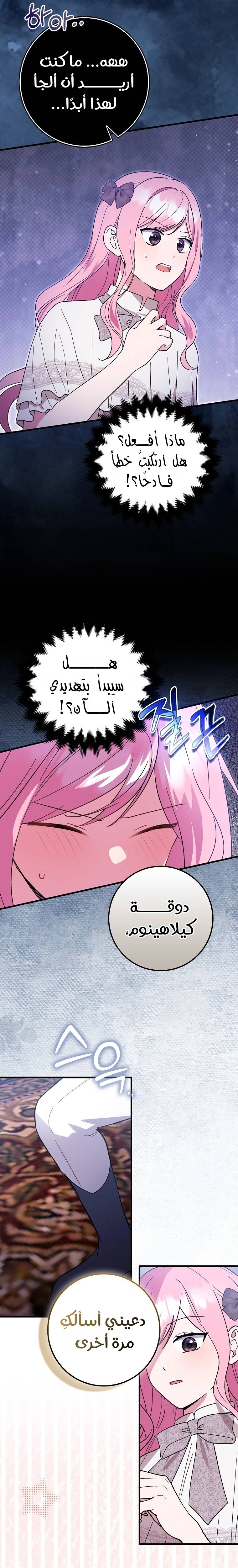 الصفحة 13