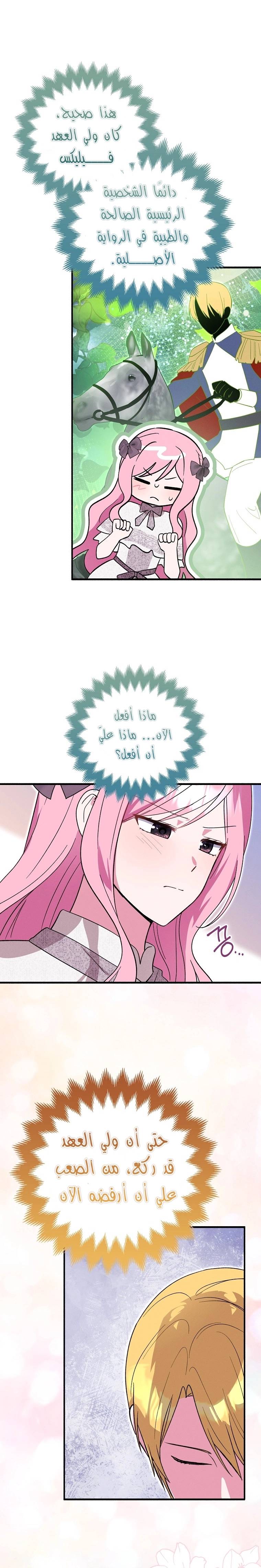 الصفحة 16
