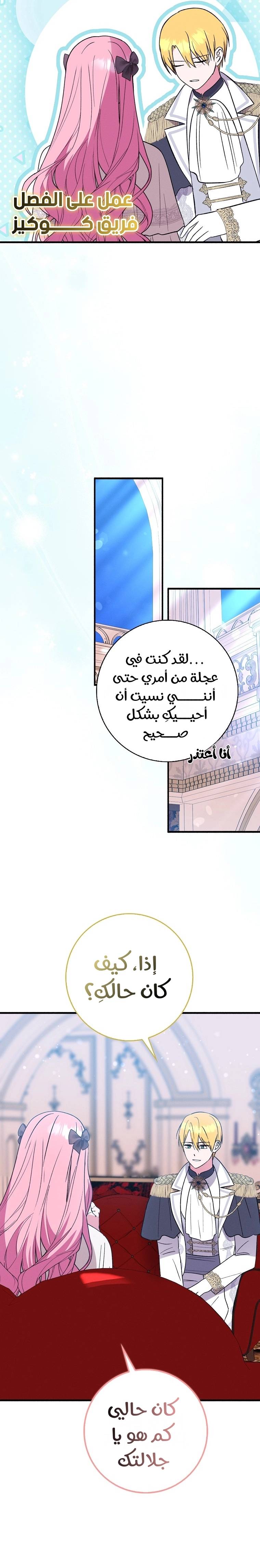 الصفحة 20