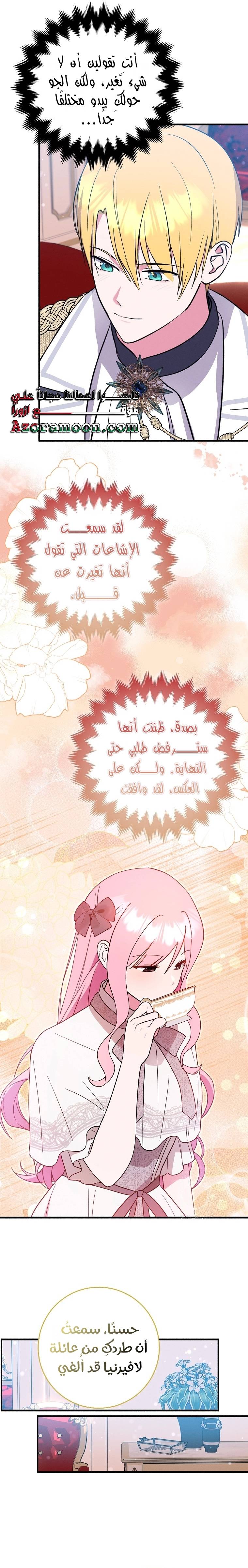 الصفحة 21