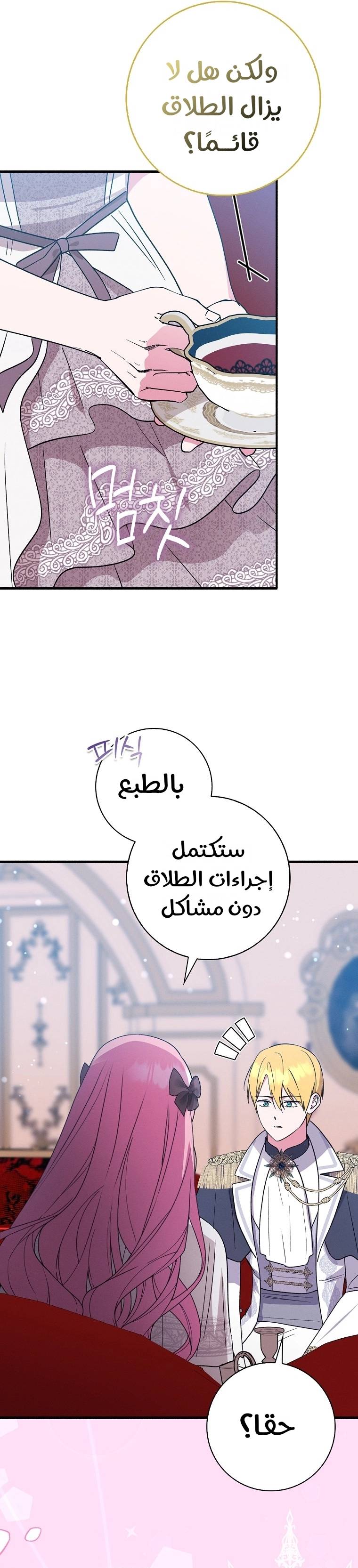 الصفحة 22