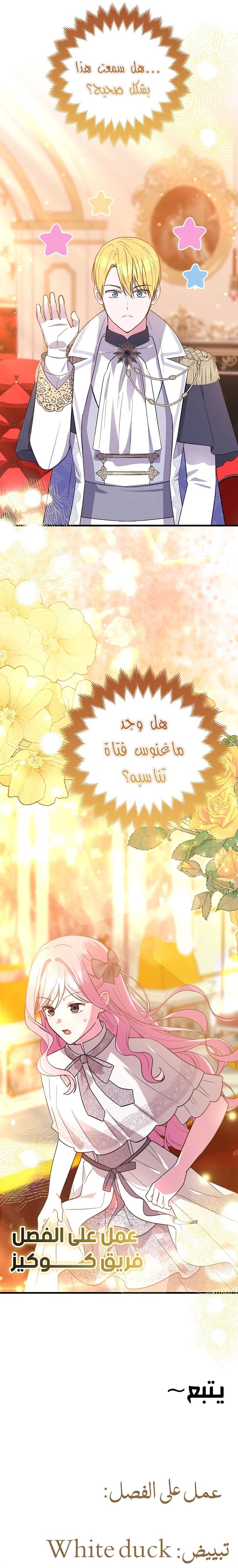 الصفحة 25