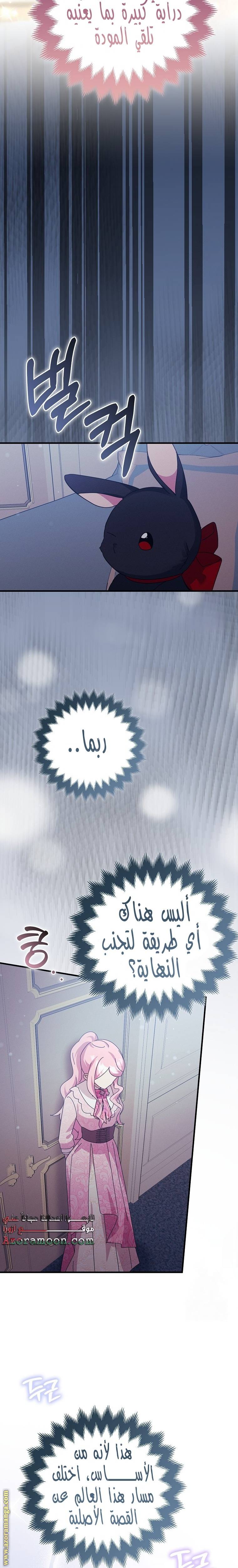 الصفحة 13