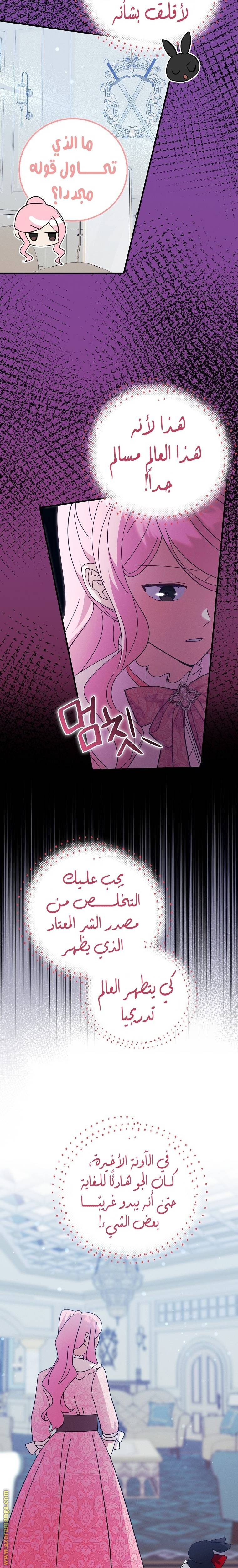 الصفحة 15