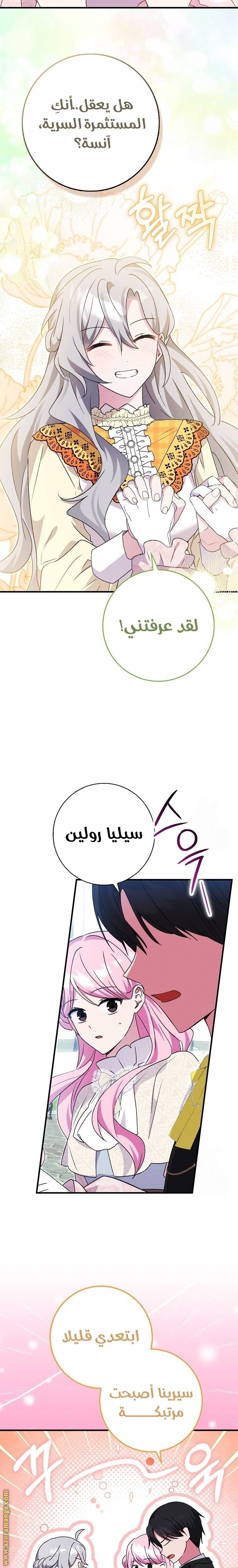 الصفحة 21