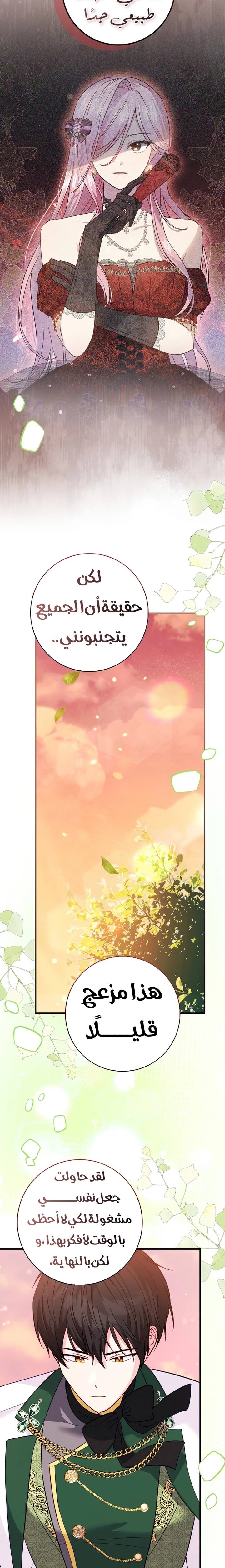الصفحة 17