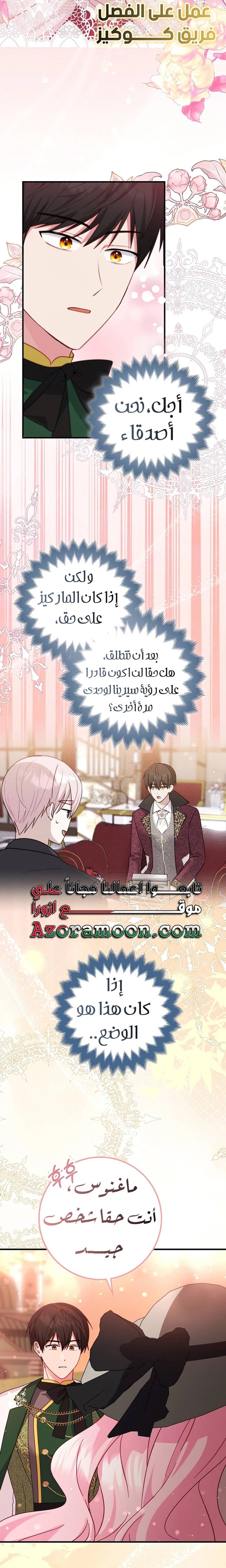 الصفحة 19