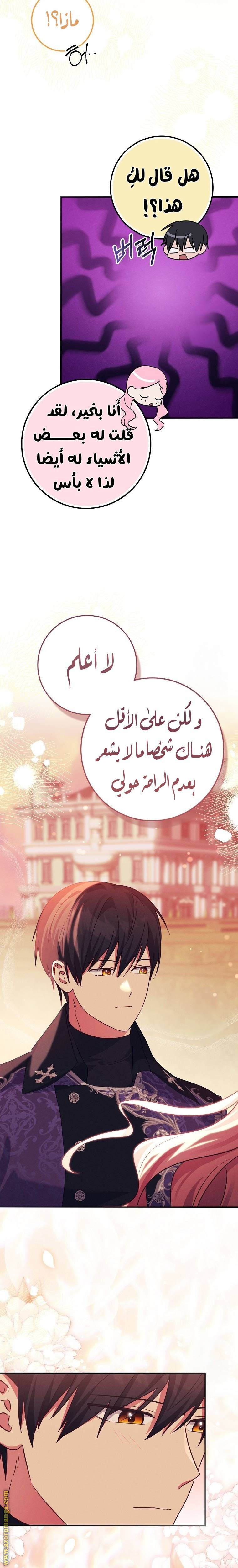 الصفحة 20
