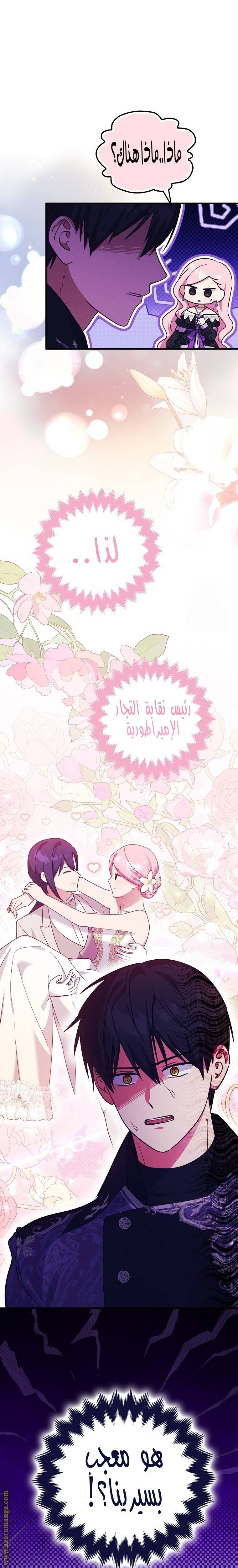 الصفحة 24