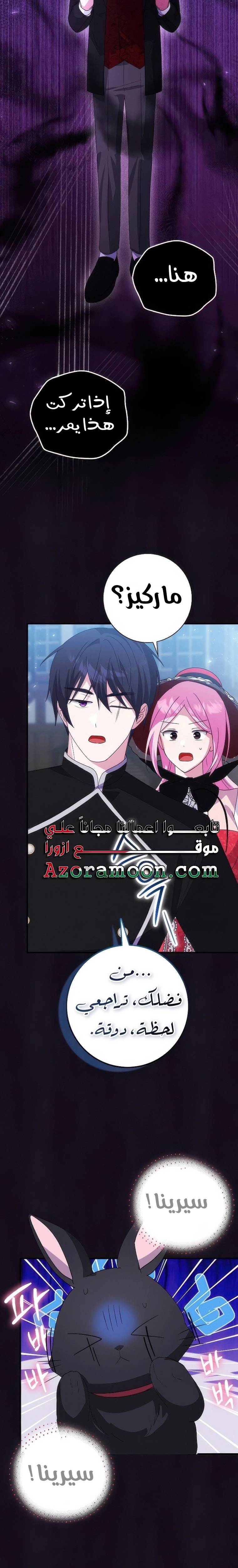 الصفحة 17