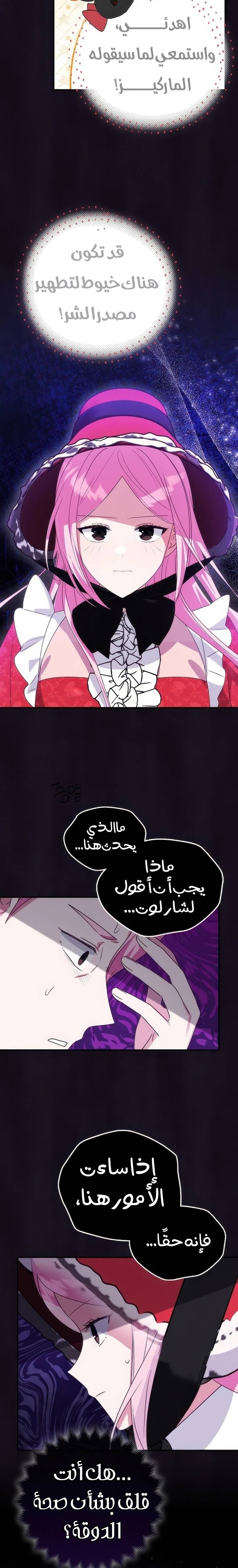 الصفحة 19