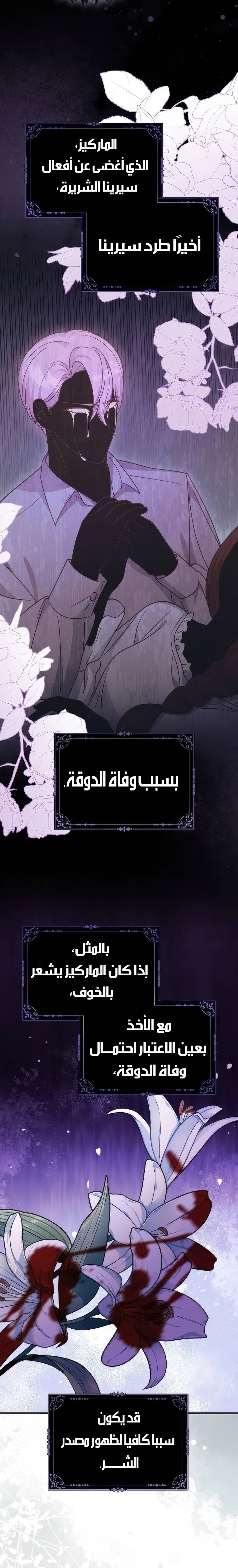 الصفحة 20